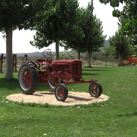 La Noguera Camping Sant Llorenc de Montgai Luaran gambar
