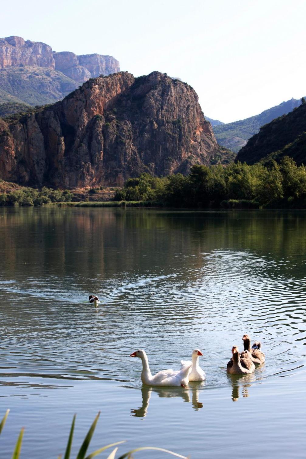 La Noguera Camping Sant Llorenc de Montgai Luaran gambar